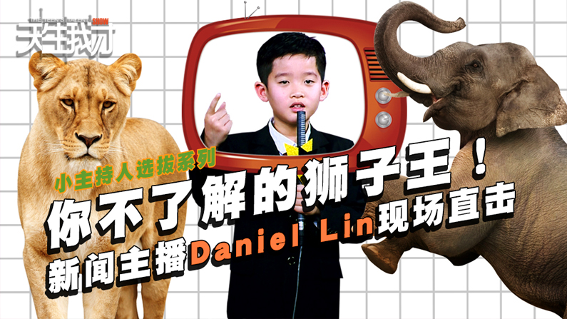 你不了解的狮子王！新闻主播Daniel Lin现场直击