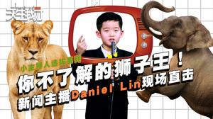 你不了解的狮子王！新闻主播Daniel Lin现场直击