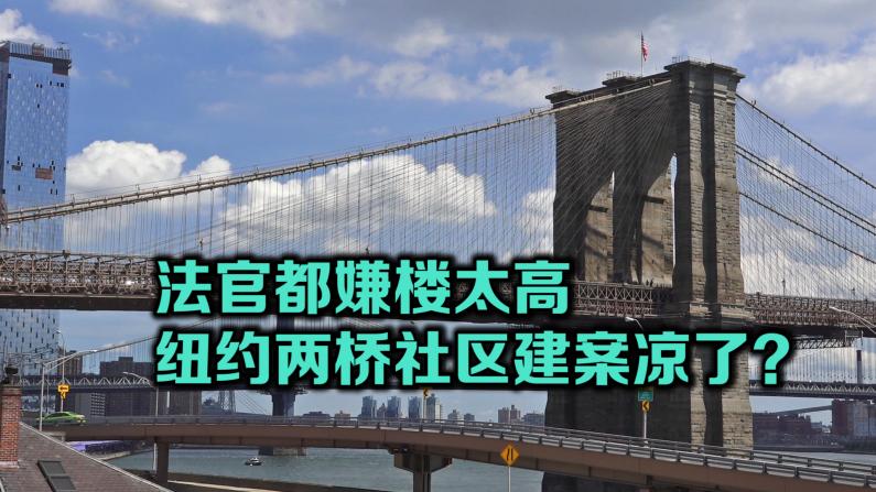 纽约两桥社区建案庭讯 民众: 80层高楼或毁社区