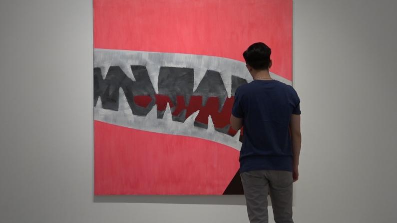 华人当代艺术家用“鲨鱼”征服休斯敦最大画廊