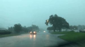 暴风雨肆虐休斯敦 交通停摆全城避灾警告