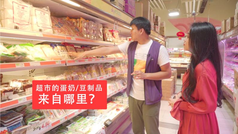 华人超市的蛋奶及豆制品都来自哪里？