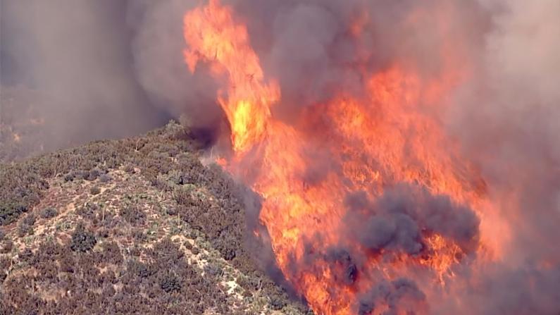 几小时狂烧1万英亩 洛杉矶山火又起
