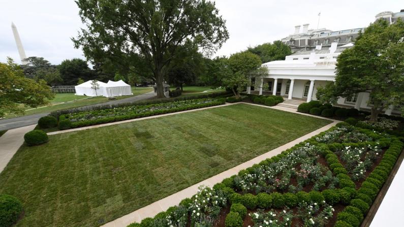 第一夫人主持翻新的白宫玫瑰园揭晓！