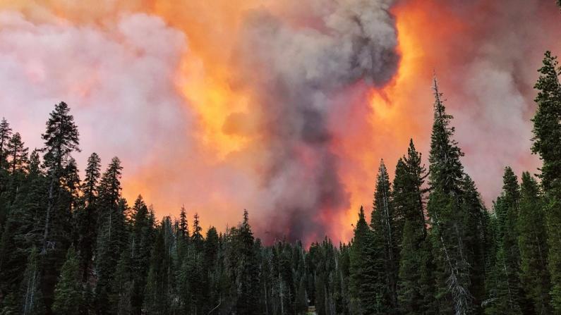 加州山火恶化致大量民众撤离 PG&E发48小时主动断电警告