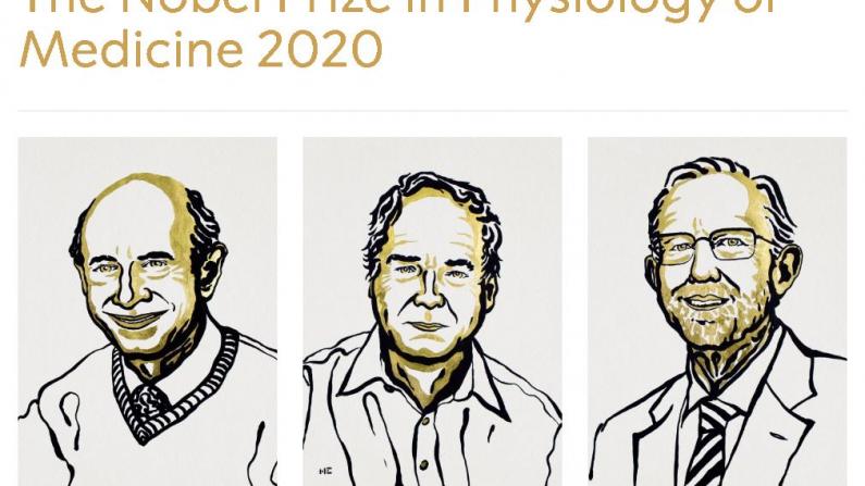 发现丙肝病毒!美英三位科学家获2020年诺贝尔生理学或医学奖