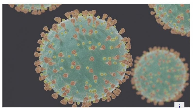 中国疾控中心:尚无证据表明新冠病毒变异会影响现有疫苗效果