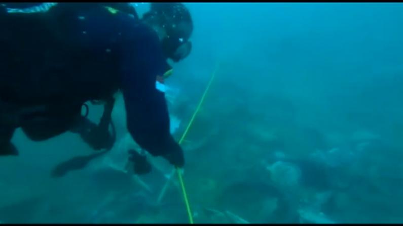 印尼坠海客机2个黑匣子已寻获 海底残骸画面曝光