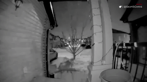 罕见“火球”划过美加夜空 家庭安全摄像头录下这一幕…