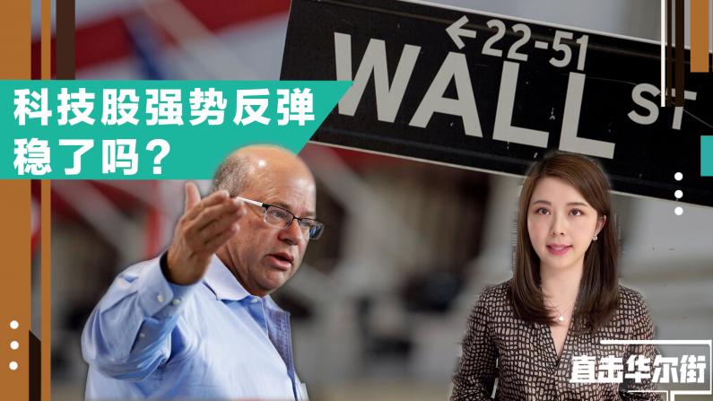 对冲基金大佬认为美股未来数月更安全 原因竟是日本？
