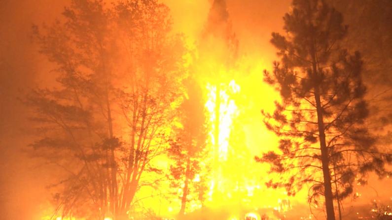 大风加速加州卡尔多山火失控 屋毁人伤数千居民被迫撤离