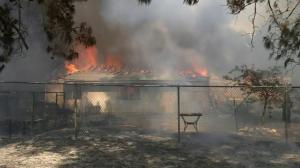 南加山火逼近居民区 十多栋房屋被毁上千人撤离