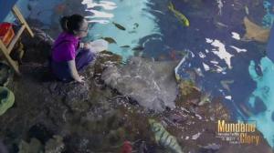《闪耀的平凡：青春接力》 对话“海洋鱼类养殖员”李福淋