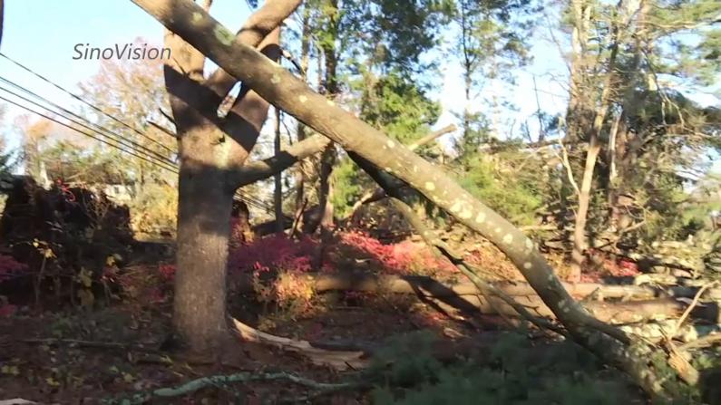 风暴致康州多地断电断网 大树倒在地 蹦床飞上天