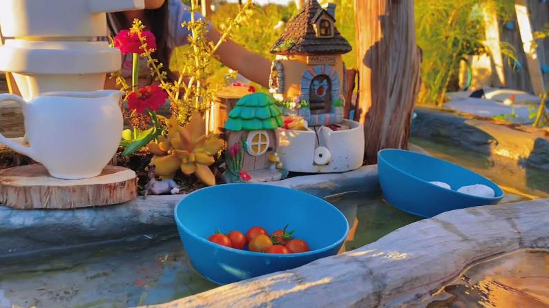 【德州田园生活】吃一桌流水席，赏一幅秋日花园盛景