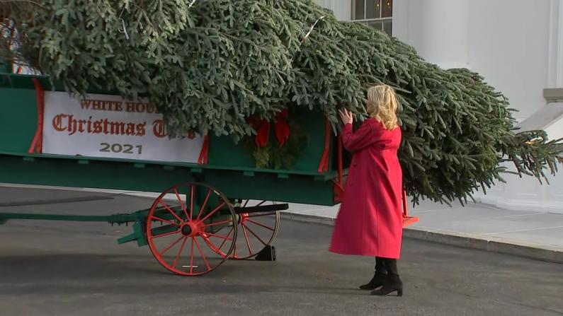 第一夫人迎接白宫圣诞树开启节日季 折树枝逗小孙子