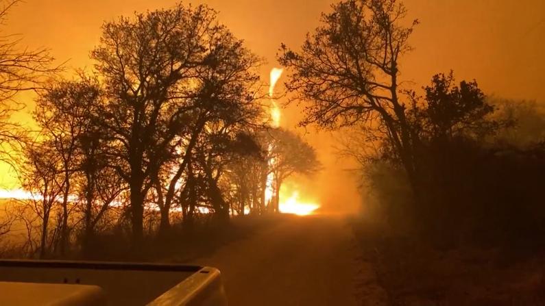 得州西部爆发野火 至少50处房屋被毁 11郡进入灾难状态