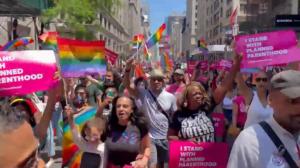 纽约芝加哥等地骄傲游行时隔2年回归 除了彩虹旗还有粉旗