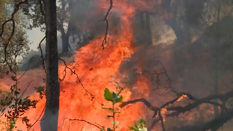 加州新一轮山火延烧 撤离民众担忧不已：社区会被毁的！