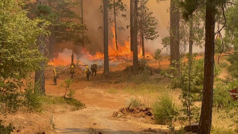 加州橡树山火持续蔓延 消防部门：这是一场马拉松