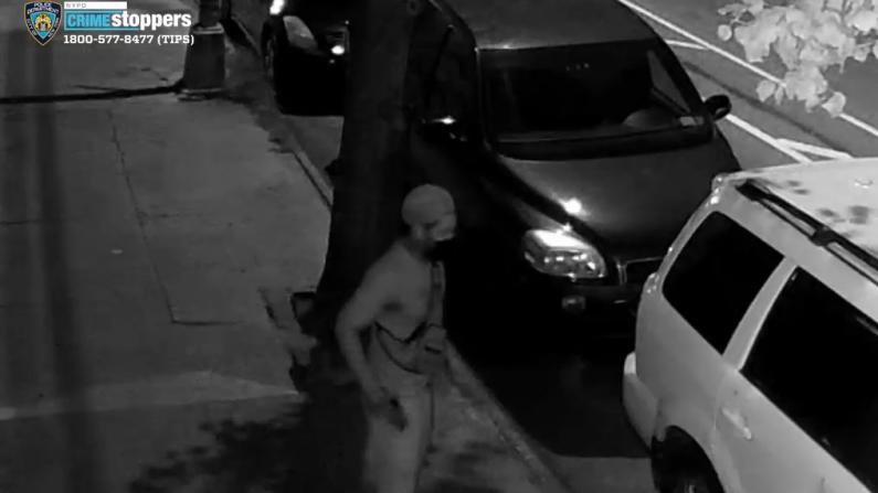 纽约市再爆街头持枪劫案 嫌犯藏在树后掏枪抢停车司机