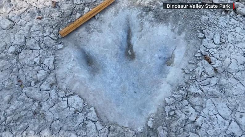 干旱天现大惊喜 得州发现罕见1.13亿年前恐龙足迹