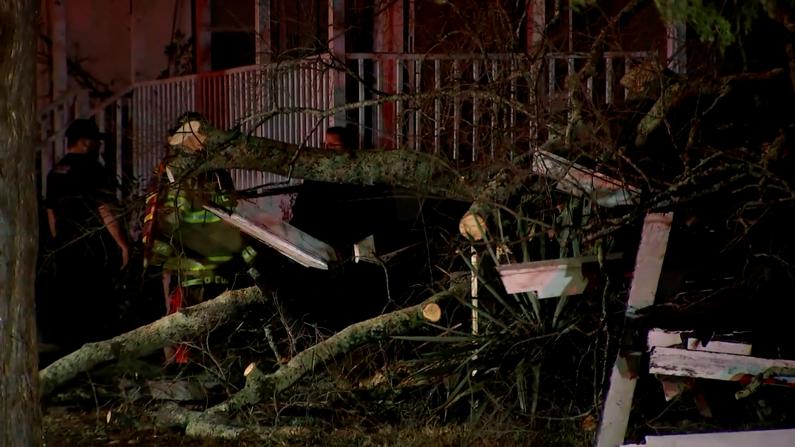 男子风暴后遭树压中 救援队彻夜挖通道营救