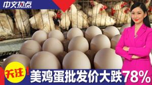 鸡蛋批发价跌至1.22元 5个月内大跌78%