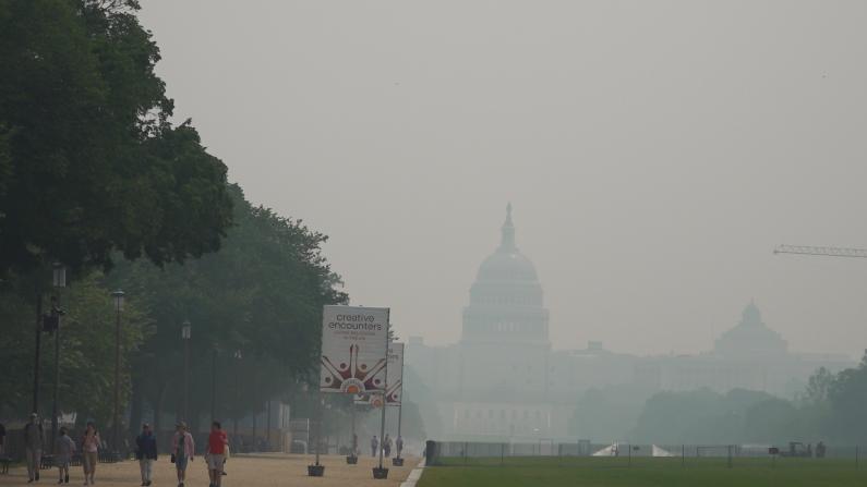 DC发布紫色污染警报，听各州游客怎么说