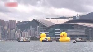 “小黄鸭”时隔10年携伴重返香港