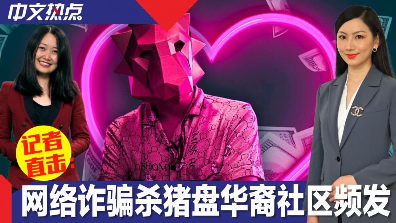 【记者直击】网络诈骗杀猪盘华裔社区频发