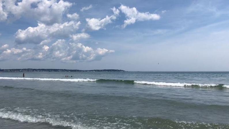 海水细菌超标 麻州数十个海滩关闭