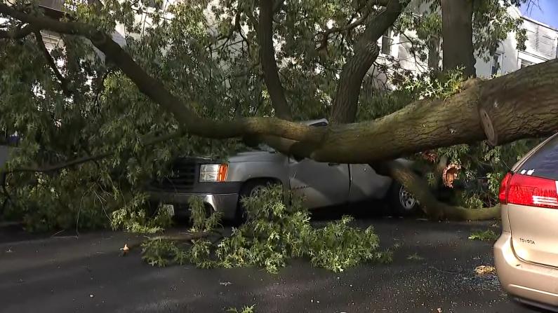 罕见暴风雨席卷DC 树倒车毁数万户停电