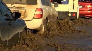“希拉利”横扫南加: 车在水中淌 淤泥盖路面