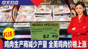 鸡肉生产商减少产量 全美鸡肉价格上涨