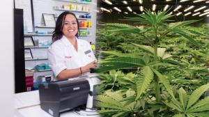 首个医用大麻在药房销售的州！