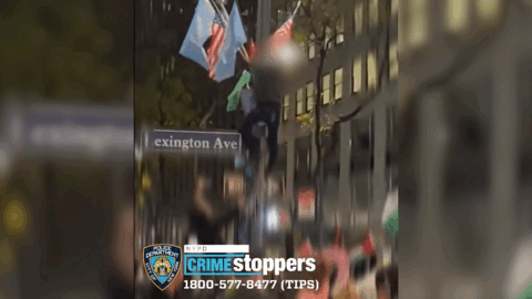 爬旗杆 泼油漆：亲巴示威者再次占领纽约