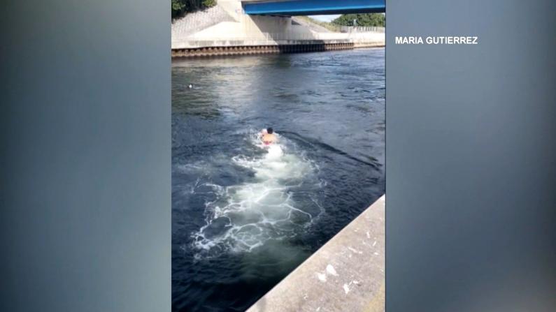 女子落海被卷入急流 17岁少年跳水营救