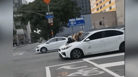 又是偷法斗！洛杉矶女子跳车阻拦偷狗贼