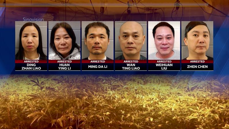 多名纽约华裔在缅因非法种大麻被捕