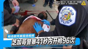 【视频】芝加哥警察41秒内开枪96次 (含血腥画面)