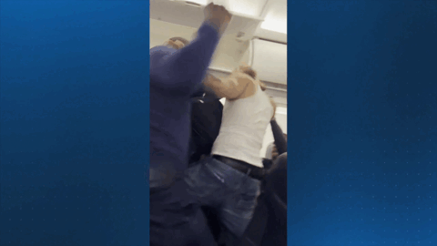 两男在飞机着陆后互殴 空姐用身体挡架